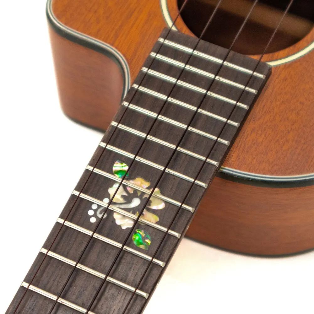 CK-25CE-CL Cynthia Lin Electric Concert size ukulele with Passive Pickup