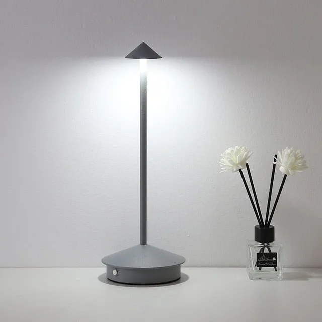 Rechargeable Table Lamp With LED Lights