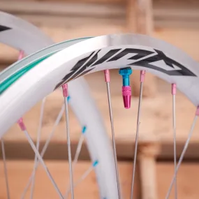 Velocity Quill Rims